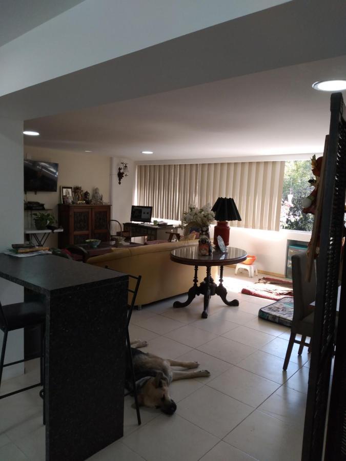 Charming Sunny Bedroom Overlooking Beautiful Amsterdam Avenue In Best Condesa Area Mexikóváros Kültér fotó