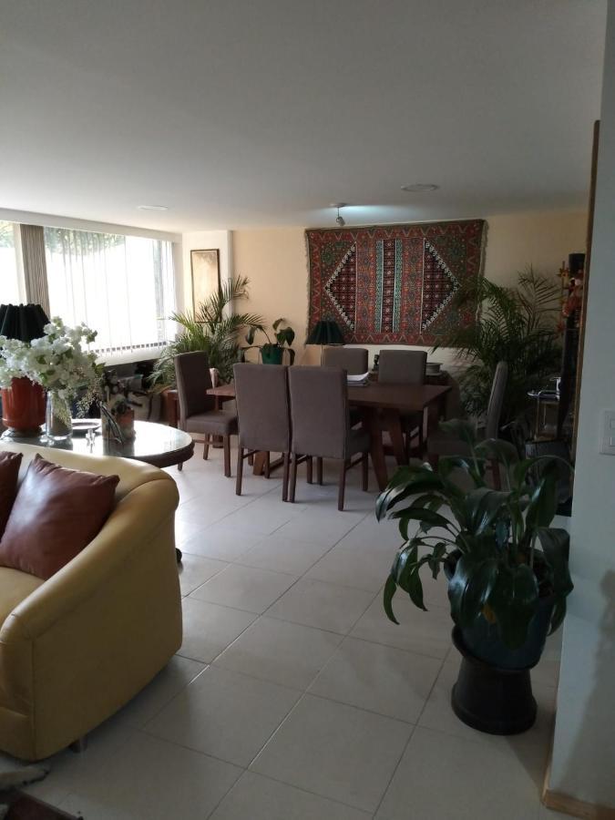 Charming Sunny Bedroom Overlooking Beautiful Amsterdam Avenue In Best Condesa Area Mexikóváros Kültér fotó