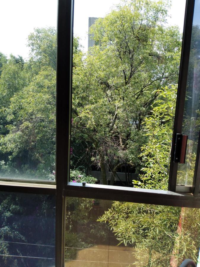Charming Sunny Bedroom Overlooking Beautiful Amsterdam Avenue In Best Condesa Area Mexikóváros Kültér fotó